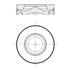 Pistón MAHLE 081 PI 00119 002