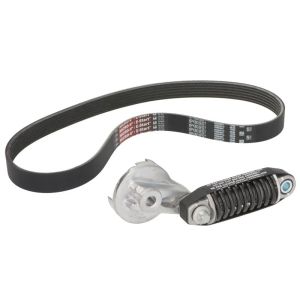 Cinto com várias nervuras (6PK1019)  GATES K016PK803EST