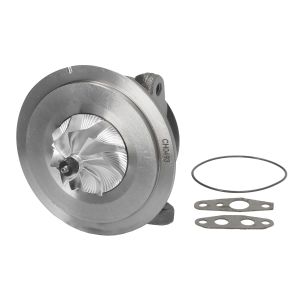 Patron/CHRA/Core Assy EVORON EVCH0493