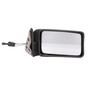 Espelho retrovisor exterior BLIC 5402-04-1115172P, direito