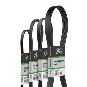 Keilrippenriemen GATES CB0065