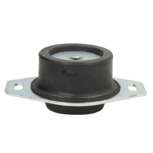 Suporte do motor REINHOCH RH11-2027