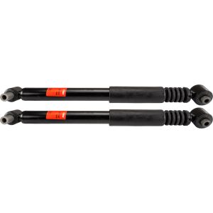 Amortecedor de choque TRW JGT316T