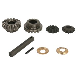Differential-Reparatursatz CARRARO 66282-CR