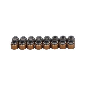 Kit de juntas, haste da válvula REINZ 12-53093-01