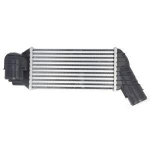 Intercooler NRF 30376