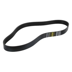 Cinghia Poly-V GATES 1425257-GAT