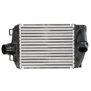 Intercooler MAGNETI MARELLI 351319206150