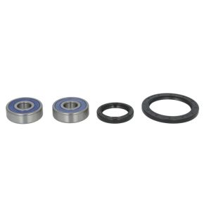 Jeu de roulements de roue ALL BALLS AB25-1585