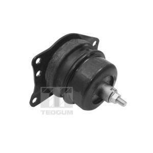 Suporte, motor TEDGUM TED40385