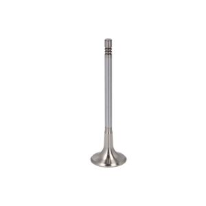 Auslassventil TRW Engine Components 539047