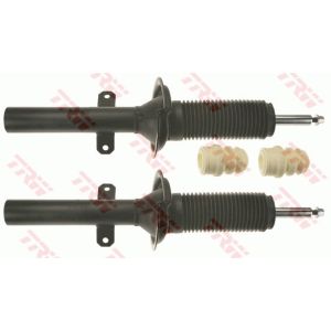 Ammortizzatore TRW JGM1062T