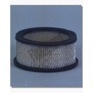 Filtro aria FLEETGUARD AF290