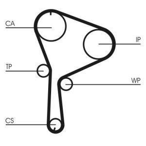 Conti CT629WP1 Cinghia Dentata Con Pompa Acqua Per Seat VW Golf Polo 1.0 1.3 1.4