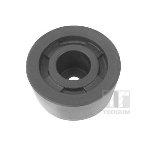 Differentialbefestigung TEDGUM 00466569