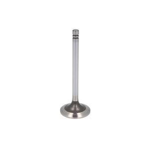 Auslassventil IPD PARTS 1487455-IPD