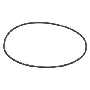 O-ring, cambio ZF 0734 313 146
