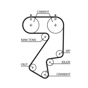 Hammashihna GATES PowerGrip™ 5404XS