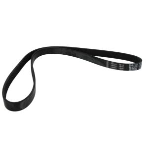 Poly V-riem DT 4.81103