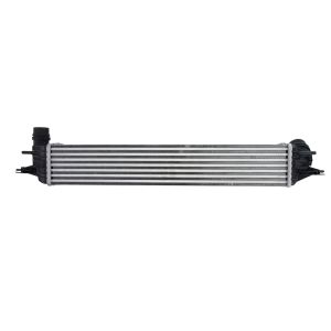 Intercooler THERMOTEC DAR015TT