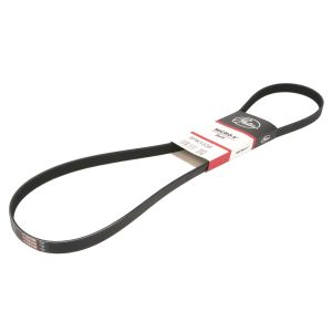 Cinghia Poly-V GATES 5PK1335