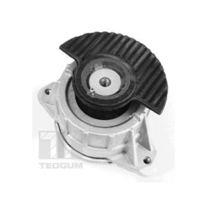 Support moteur TEDGUM 00418476