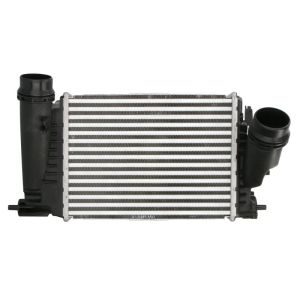 Intercooler THERMOTEC DAR029TT