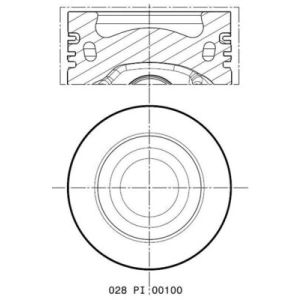 Piston MAHLE 028 PI 00100 002