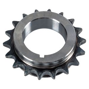 Roda dentada, cambota SWAG 10 05 0008