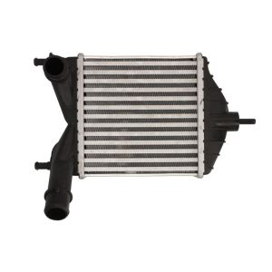 Intercooler THERMOTEC DAF014TT