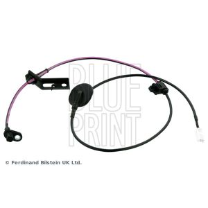 Sensor do ABS traseiro, direito BLUE PRINT ADM57125