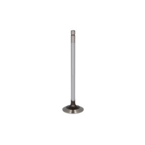 Válvula de escape FP DIESEL R536136-FP