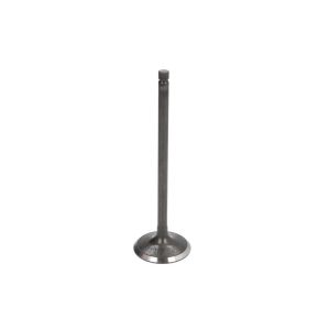 Einlaßventil FRECCIA R6341/SNT