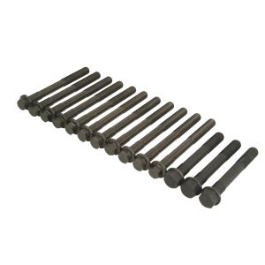 Kit de parafusos, cabeça do cilindro REINZ 14-32284-03