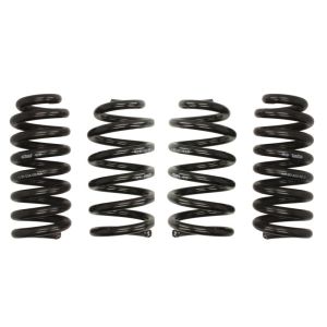 Kit de suspensão, molas Pro-Kit EIBACH E10-25-036-05-22