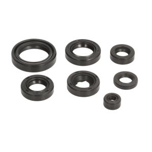 Conjunto de vedantes do óleo do motor ATHENA P4E0210400011