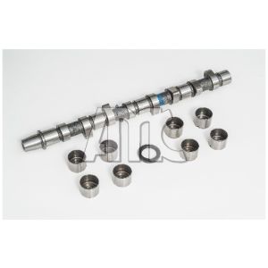 Conjunto da árvore de cames AMC 665819K