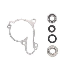 Kit de reparação, bomba de água HOT RODS WPK0028