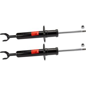 Amortecedor TRW JGS228T
