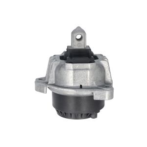 Suporte do motor TEDGUM TED11858