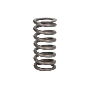 Mola da válvula DT Spare Parts 2.10276