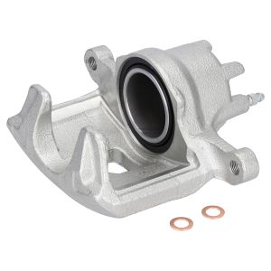 Jarrusatula BLUE PRINT ADBP450211
