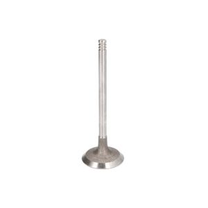 Einlassventil FRECCIA R8093/S
