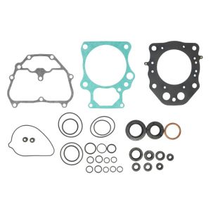 Kit de juntas, motor WINDEROSA W811943