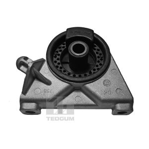 Cuscinetti, motore TEDGUM 00509064
