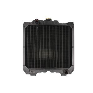 Radiador, arrefecimento do motor THERMOTEC D7AG022TT
