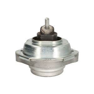 Suporte do motor TEDGUM 00088534