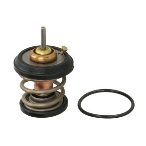 Thermostat (liquide de refroidissement) MOTORAD 707-95K