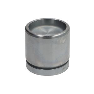 Pistão, cilindro do travão AUTOFREN SEINSA D0-25458
