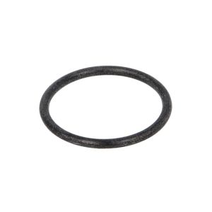 Dichtring EURORICAMBI 60531378